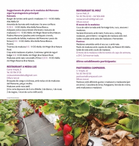 arenaza-foto-costa_bcn_maresme_011