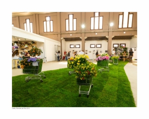 arenaza-fotografo-mercat_022