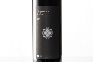arenaza_fotograf_vins_005